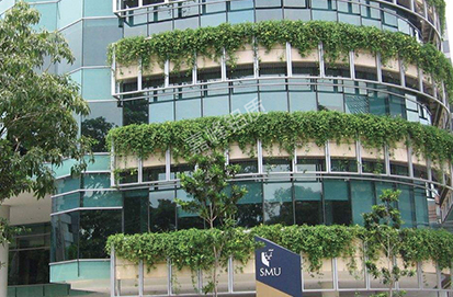 新加坡第四所大学